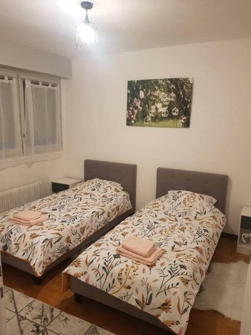 Magnifique T2 Au Centre Ville Cluses Dış mekan fotoğraf