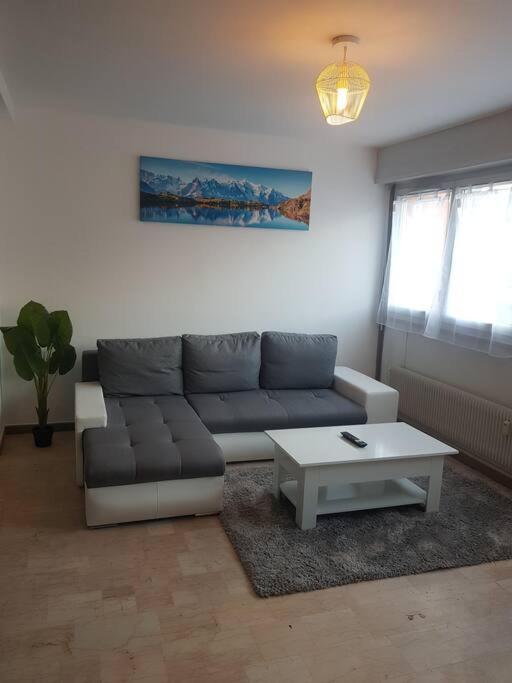 Magnifique T2 Au Centre Ville Cluses Dış mekan fotoğraf