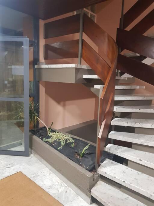 Magnifique T2 Au Centre Ville Cluses Dış mekan fotoğraf
